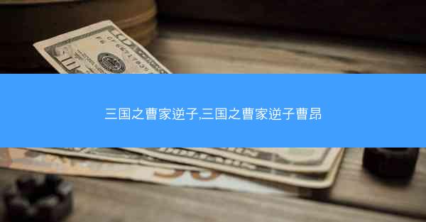 三国之曹家逆子,三国之曹家逆子曹昂