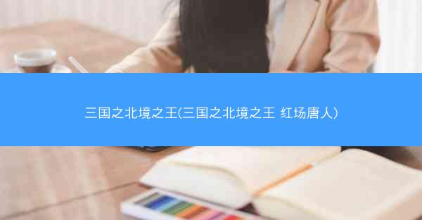 三国之北境之王(三国之北境之王 红场唐人)