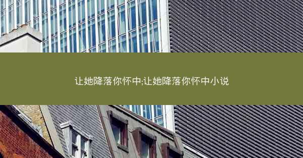让她降落你怀中;让她降落你怀中小说
