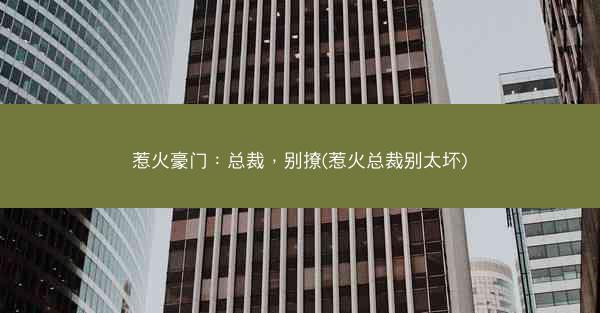 惹火豪门：总裁，别撩(惹火总裁别太坏)