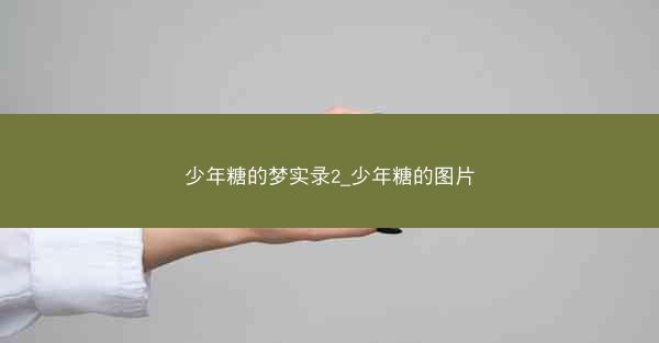 少年糖的梦实录2_少年糖的图片