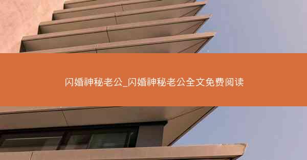闪婚神秘老公_闪婚神秘老公全文免费阅读