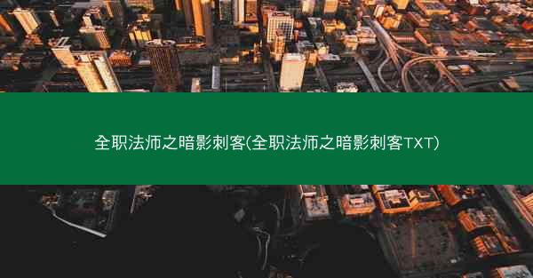 全职法师之暗影刺客(全职法师之暗影刺客TXT)