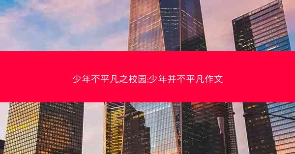 少年不平凡之校园;少年并不平凡作文