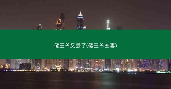 傻王爷又丢了(傻王爷宠妻)