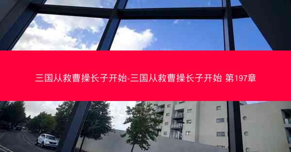 三国从救曹操长子开始-三国从救曹操长子开始 第197章