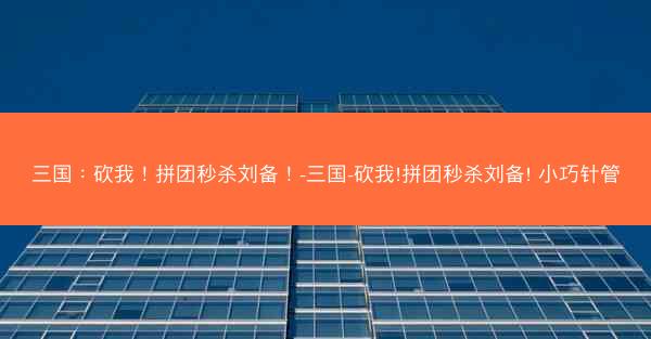 三国：砍我！拼团秒杀刘备！-三国-砍我!拼团秒杀刘备! 小巧针管