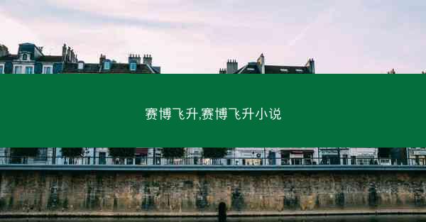 赛博飞升,赛博飞升小说