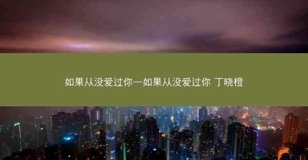 如果从没爱过你—如果从没爱过你 丁晓橙