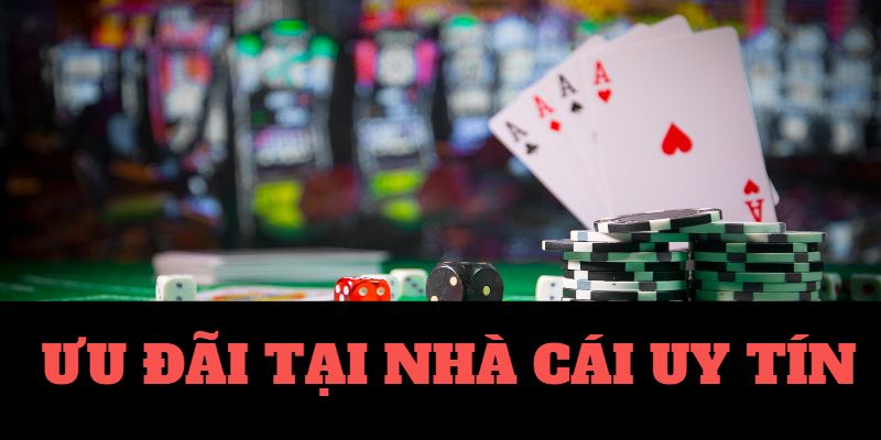 Sbobet-Code tân thủ - Chìa khóa cho những trải nghiệm mới!